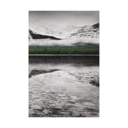 Alan Majchrowicz 'Waterfowl Lake Panel Iii Bw With Color' Canvas Art,12x19